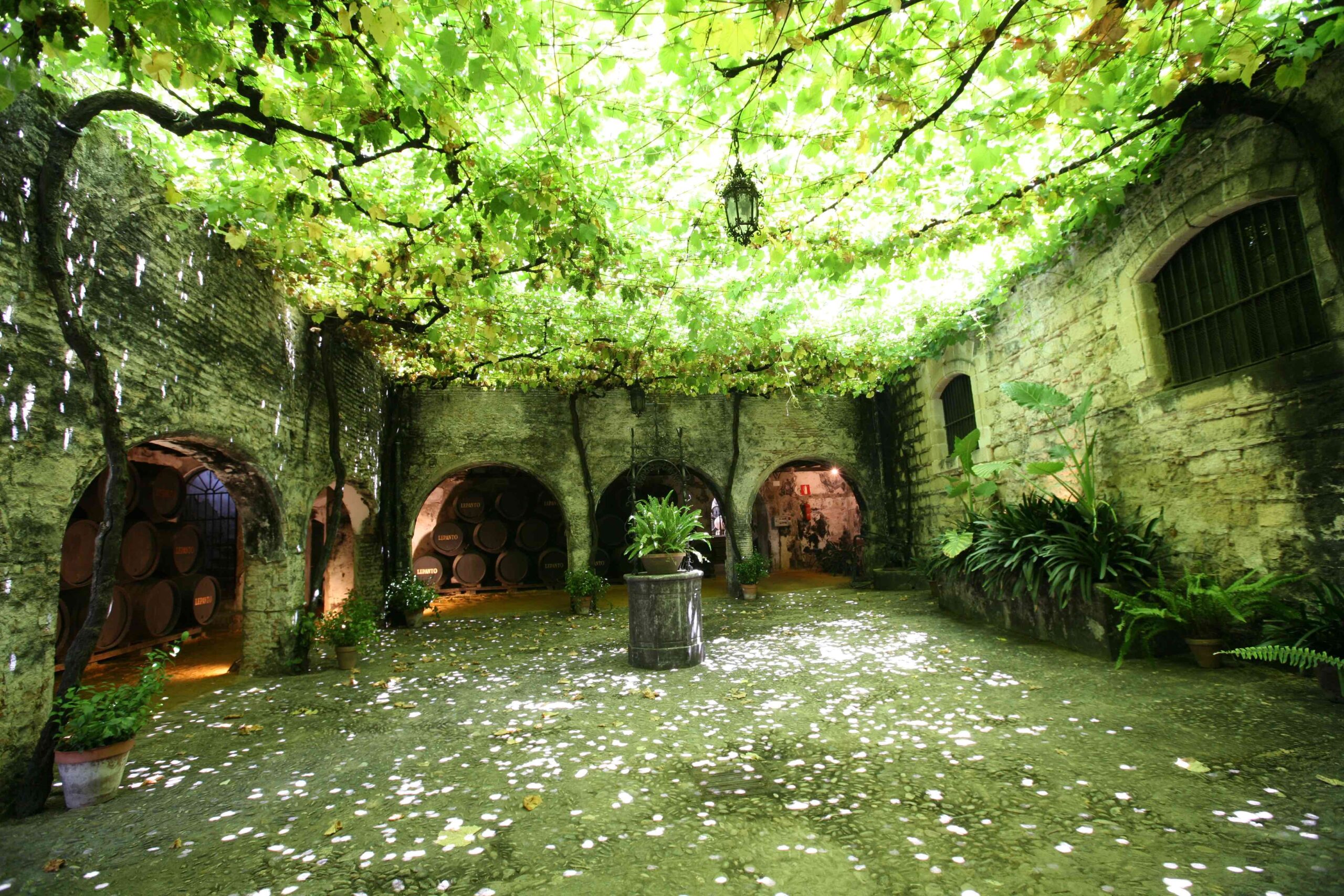 MGWS leafy bodega courtyard