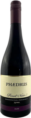 Phaedrus PN